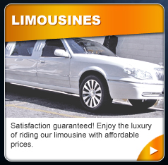 Getting Out Limos Services - Limousines